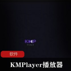 视频播放《KMPlayer播放器 v4.2.2.15中文版》超级推荐收藏