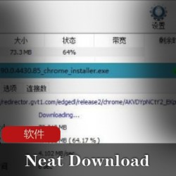 多线程下载工具《Neat_Download_Manager》无广告版